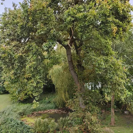 Bed & Breakfast The Old Vicarage Rødby